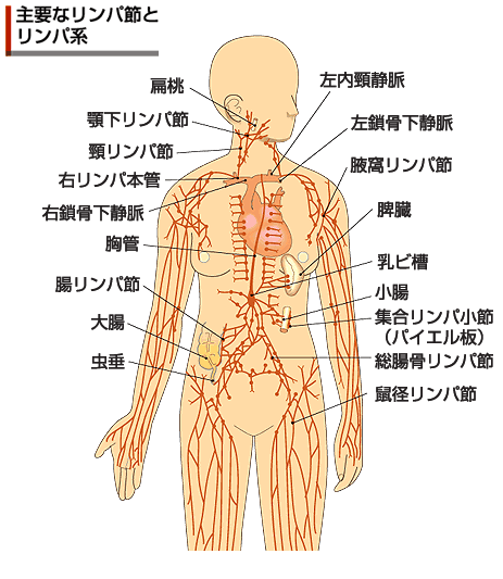 むくみ解消で足が細く 椅子に座ってできるストレッチ リンパマッサージinオフィス 健康 資産管理法 リハビリ